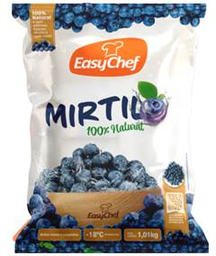 MIRTILO INTEIRO CONG EASYCHEF 1,01KG
